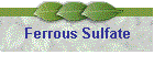 Ferrous Sulfate