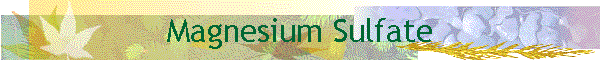 Magnesium Sulfate