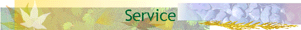 Service